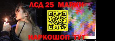 гидра Можга