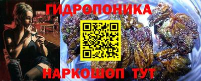 ешки Моздок